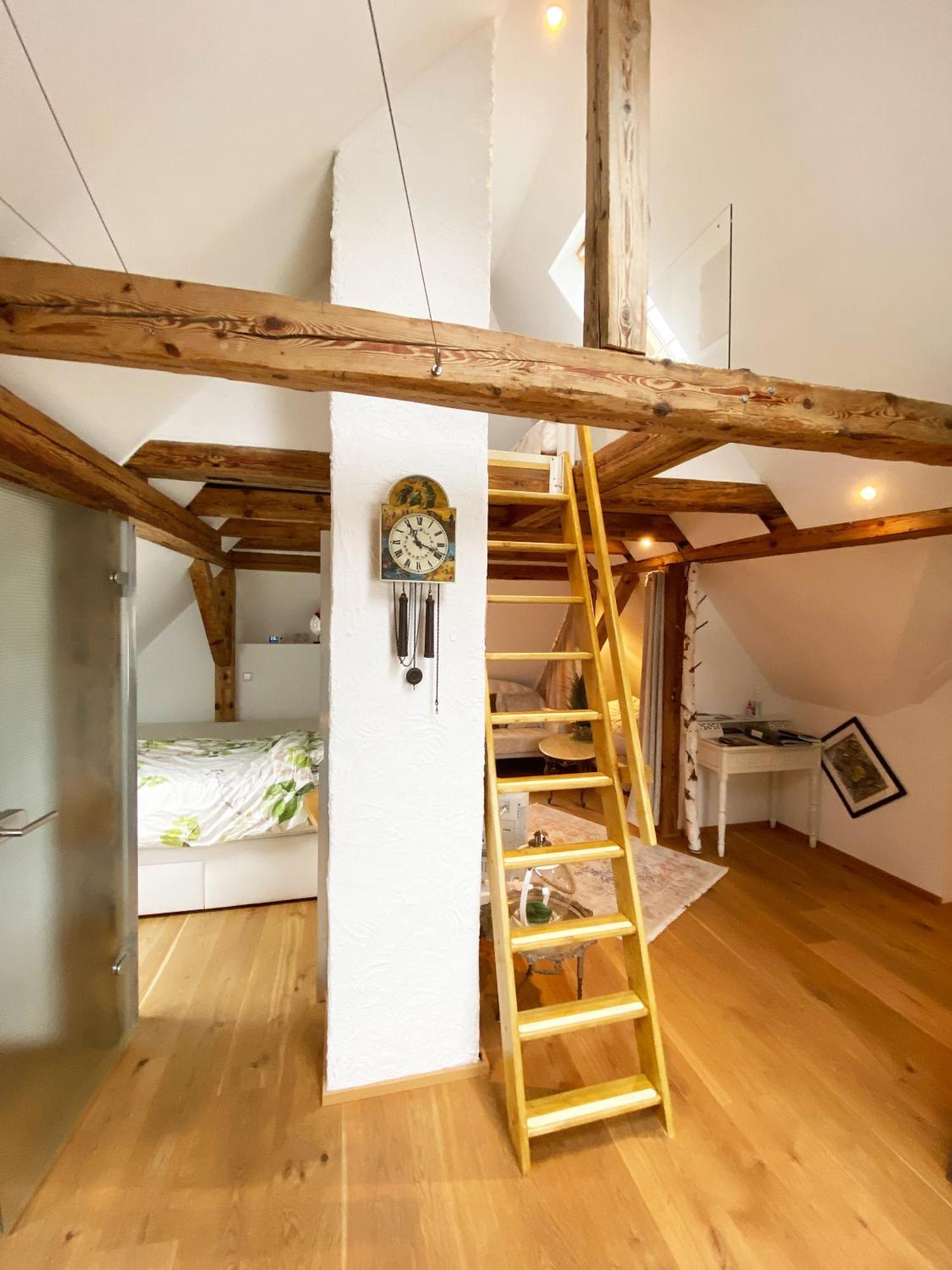 Apartment Ambiente